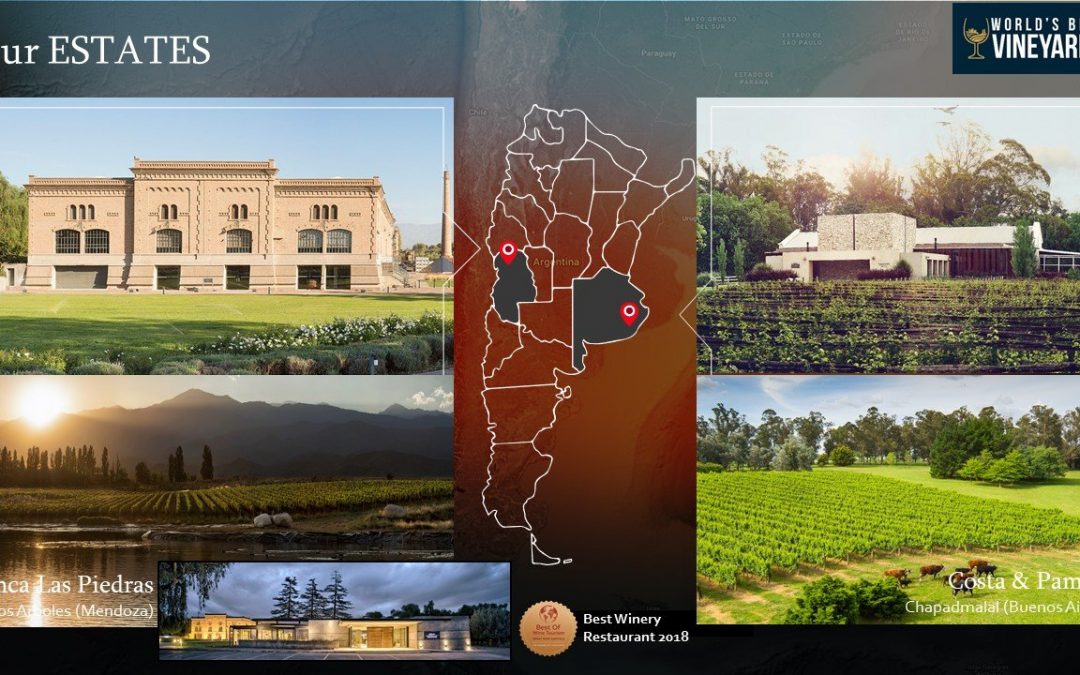 Trapiche Named One of World’s Best Vineyards to Visit