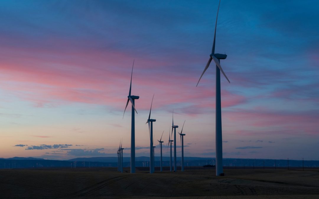 The Road to Carbon Zero: How Sommeliers Can Travel on the Right Side of the Carbon Road