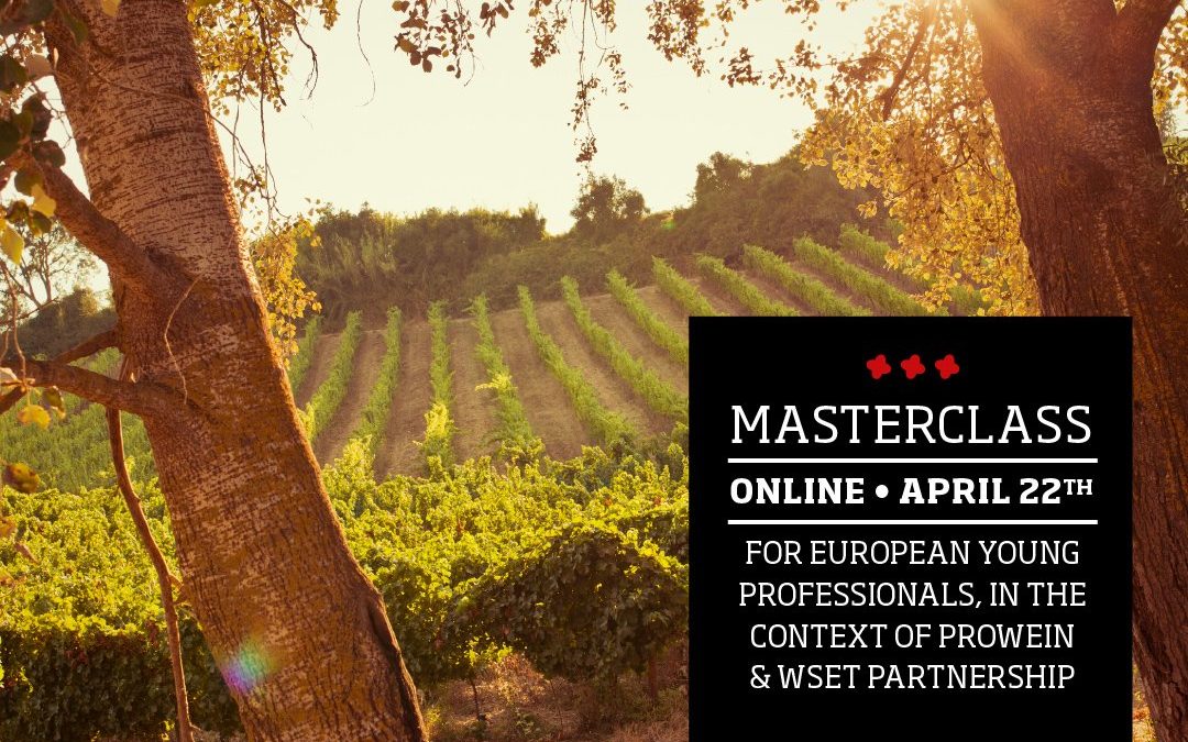 WINES OF PORTUGAL HELPS ENCOURAGE YOUNG PROFESSIONALS