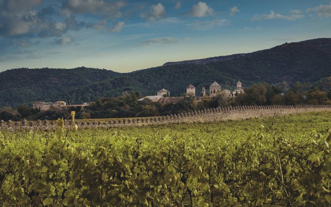 Familia Torres: Decanter Proclaims Grans Muralles 2016 among the World’s 50 Best Wines