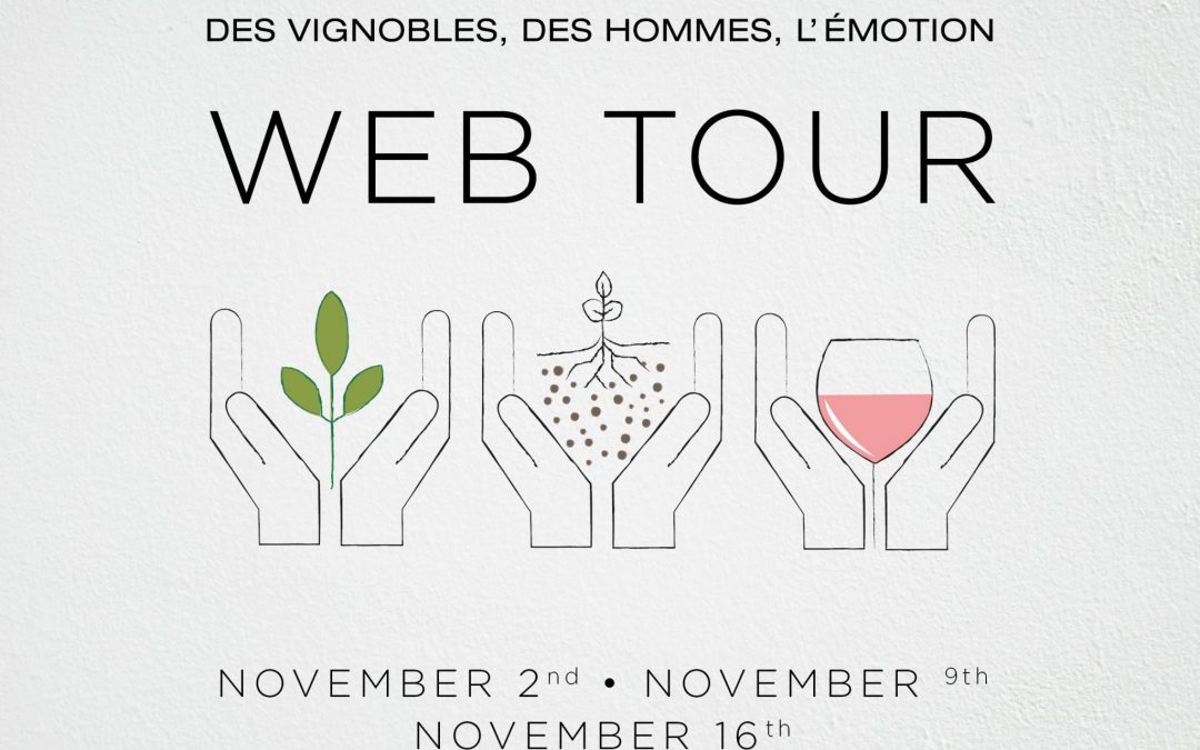 Advini launches Web Tour