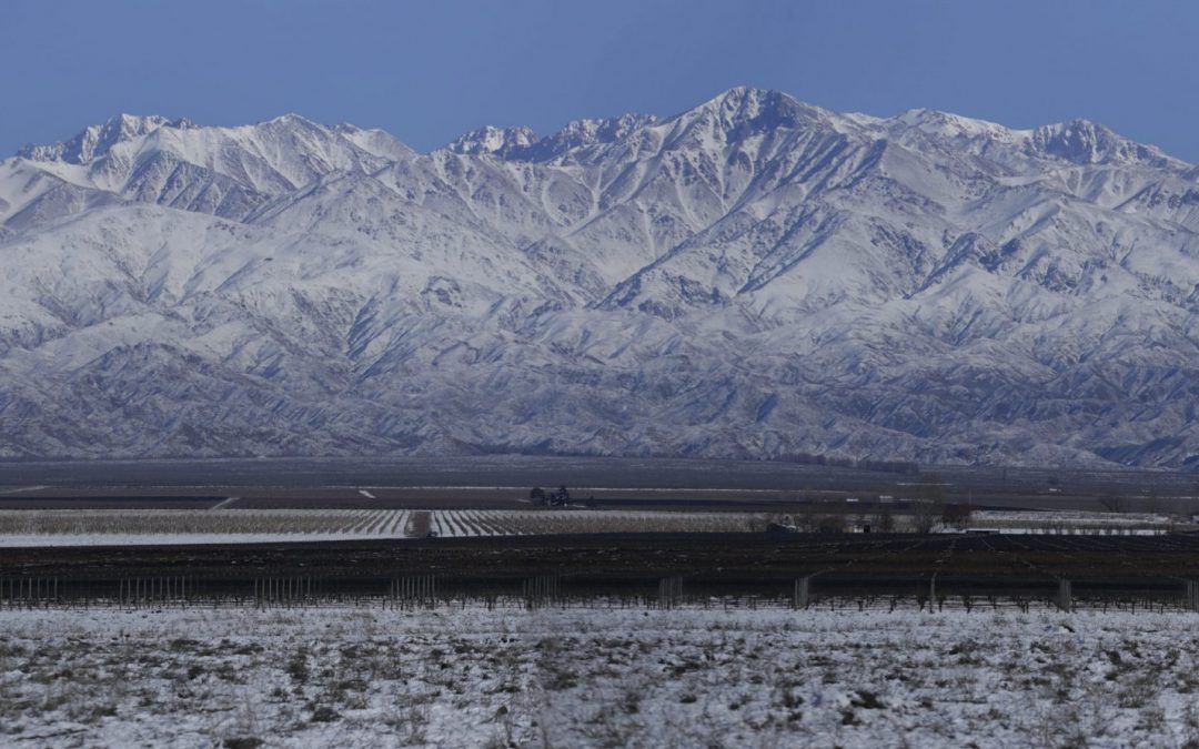Three Innovations in Argentine Wine from Wines of Argentina