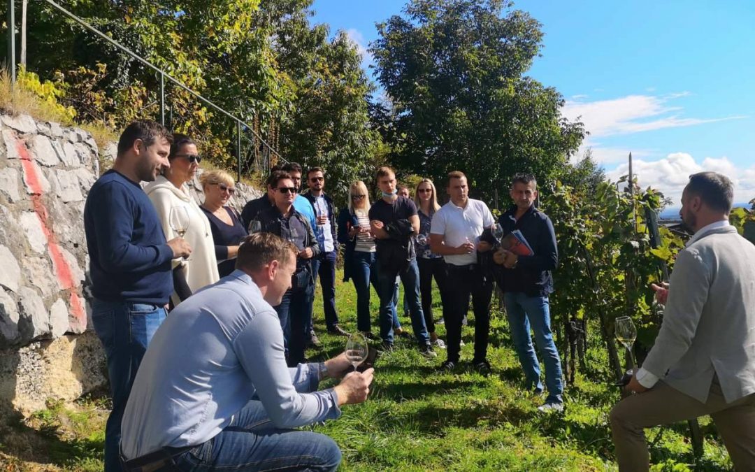 Croatia Sommelier Club Offers Training for All Levels