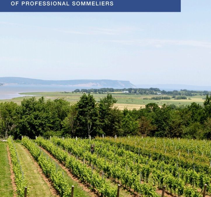 Canada Lands Nova Scotia on the Wine Map