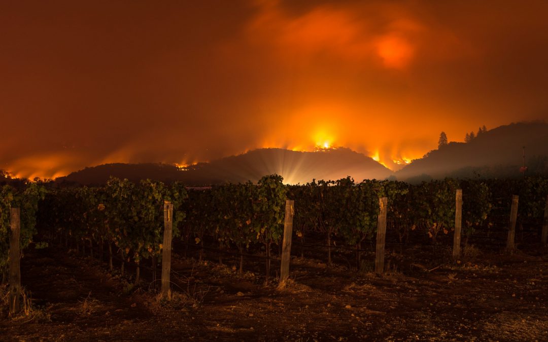 Sonoma County to receive $37-million in funding to combat wildfires and support local businesses